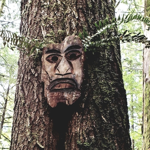 Meet your Posher, Shelley - Picture 1 of 1